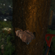 Image for article titled Surviving The Forest, The Hottest Game On Steam Right Now